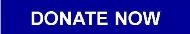 Donate now - side banner.jpg